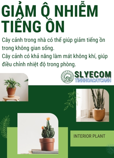 CẨM NANG TẠI SLYECOM